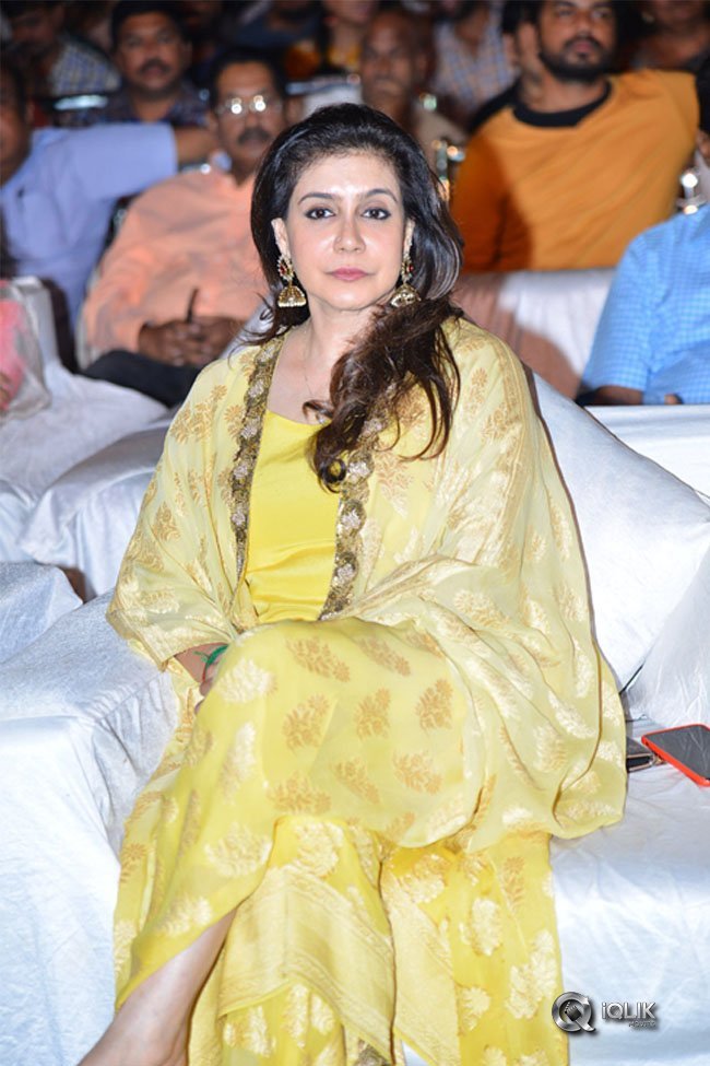 Chal-Mohan-Ranga-Pre-Release-Function-Photos